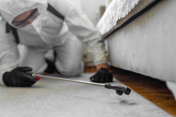 Professional Bed Bug Control technician working in Fritch, TX