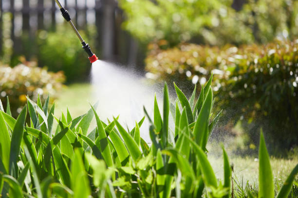 24/7 Emergency Bed Bug Control experts in Fritch, TX