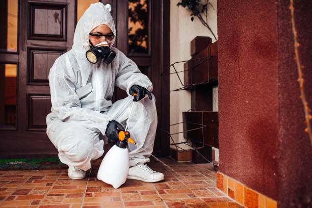 Reliable Bed Bug Control contractor in Fritch, TX by Nex Pest Control
